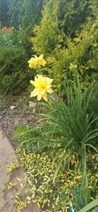 0108fc34-893e-468e-89b3-17be5324c4e4.jpg