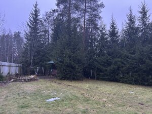 IMG_8071.jpeg