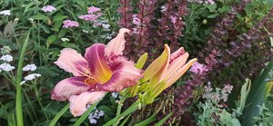 97ea349d-5952-40fd-9b79-66d7feca19a3.jpg