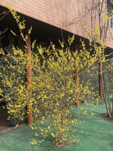 IMG_6923.jpeg