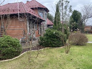 IMG_6991.jpeg