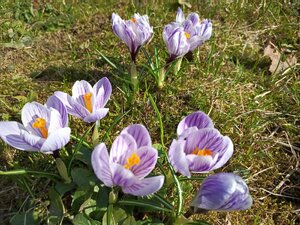 IMG_20260404_142344_506.jpg