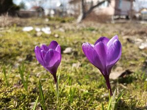 IMG_20260404_142507_168.jpg