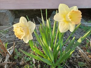 IMG_20260503_190138_069.jpg