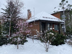IMG_7203.jpeg