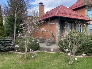 IMG_7238.jpeg