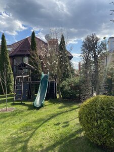 IMG_7240.jpeg
