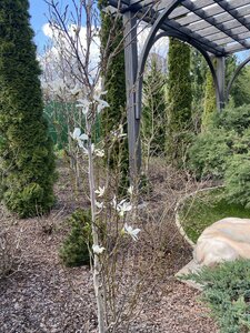 IMG_7239.jpeg