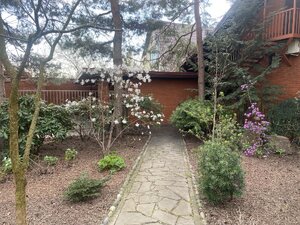 IMG_7265.jpeg