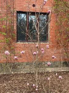 IMG_7260.jpeg