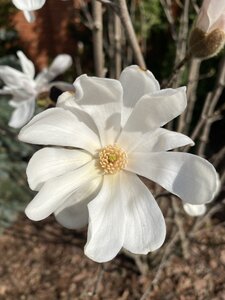 IMG_7230.jpeg