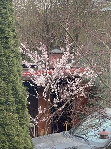 IMG_7180.jpeg