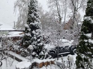 IMG_7189.jpeg