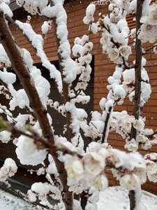 IMG_7191.jpeg