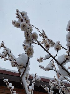IMG_7192.jpeg