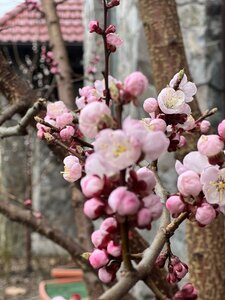 IMG_8791.jpeg