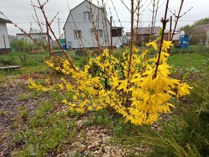 IMG_20260508_153316_061.jpg