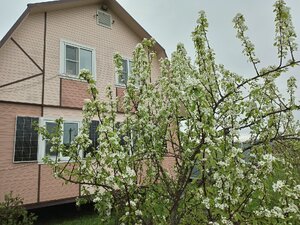 IMG_20260508_161614_814.jpg