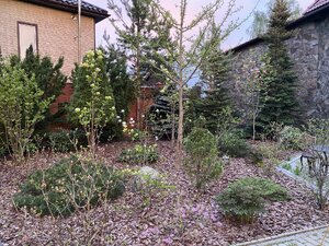IMG_7429.jpeg