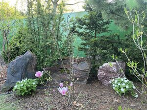 IMG_7348.jpeg