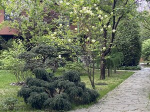 IMG_7414.jpeg