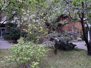 IMG_7415.jpeg