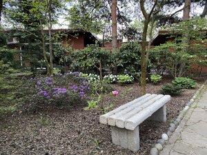 IMG_7416.jpeg