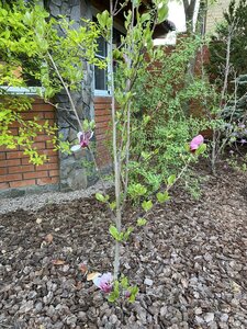 IMG_7403.jpeg