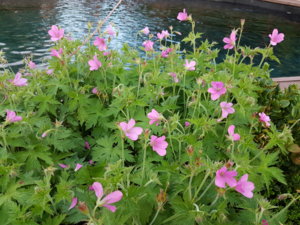 20170623_205802.jpg