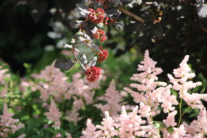 IMG_2606.JPG