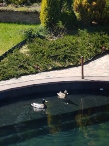 20170516_122733.jpg