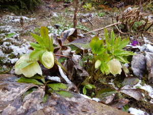 20170501_084220.jpg