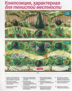 !! Цветник с северной стороны дома.jpg
