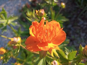 IMG_20260606_193512_437.jpg