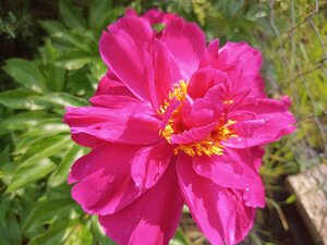 IMG_20260613_101051_193.jpg