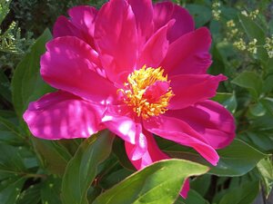 IMG_20260612_095517_058.jpg
