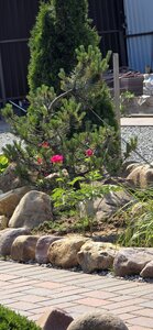 20260609_095649.jpg
