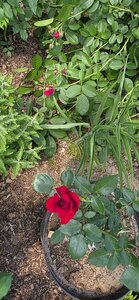 20260613_124434.jpg