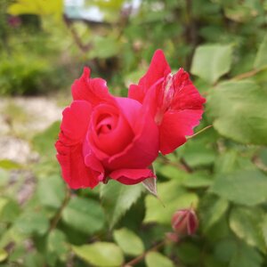IMG_20260615_095326_678.jpg