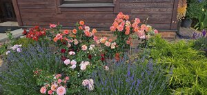 20260701_130354.jpg
