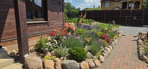 20260701_120614.jpg