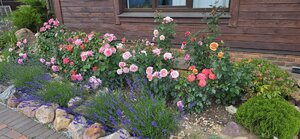 20260701_130615.jpg