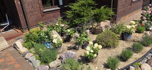 20260701_131150.jpg