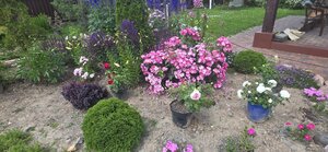 20260702_130940.jpg