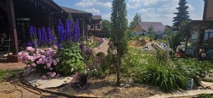20260702_130714.jpg