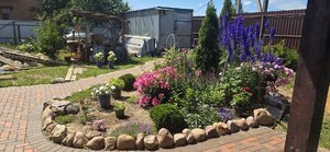 20260703_121954.jpg