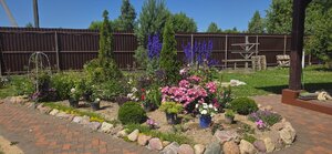 20260703_121912.jpg