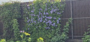 20260702_091051.jpg