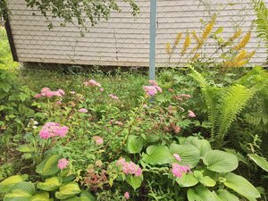 IMG_20260715_083432_048.jpg