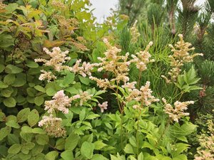 IMG_20260715_093840_688.jpg